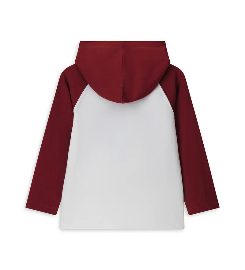 Boy's hooded shirt