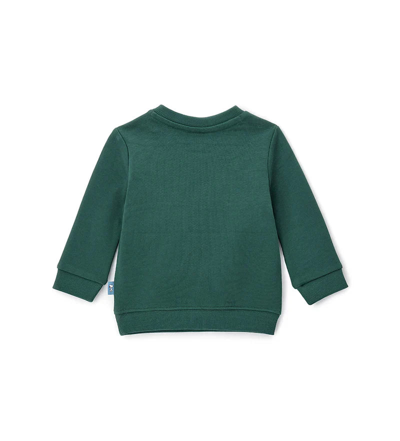 Baby boy's sweatshirt