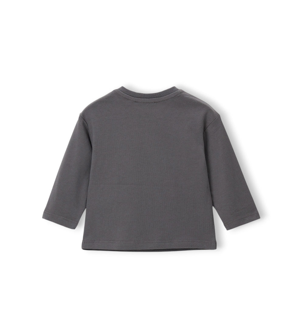 Boy - Printed T-shirt Grey 9 - 12 M