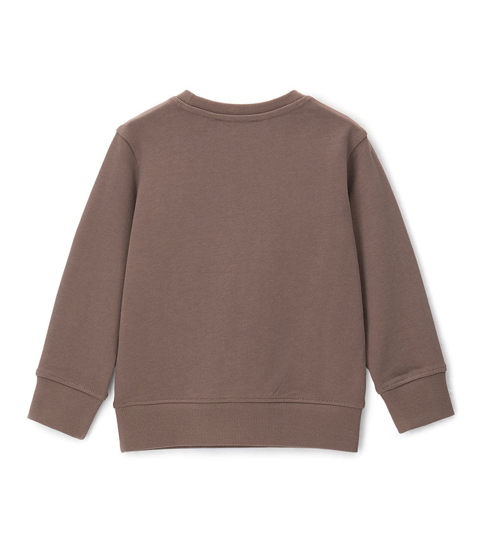 Boy - Printed sweatshirt 9 - 10 Y Brown