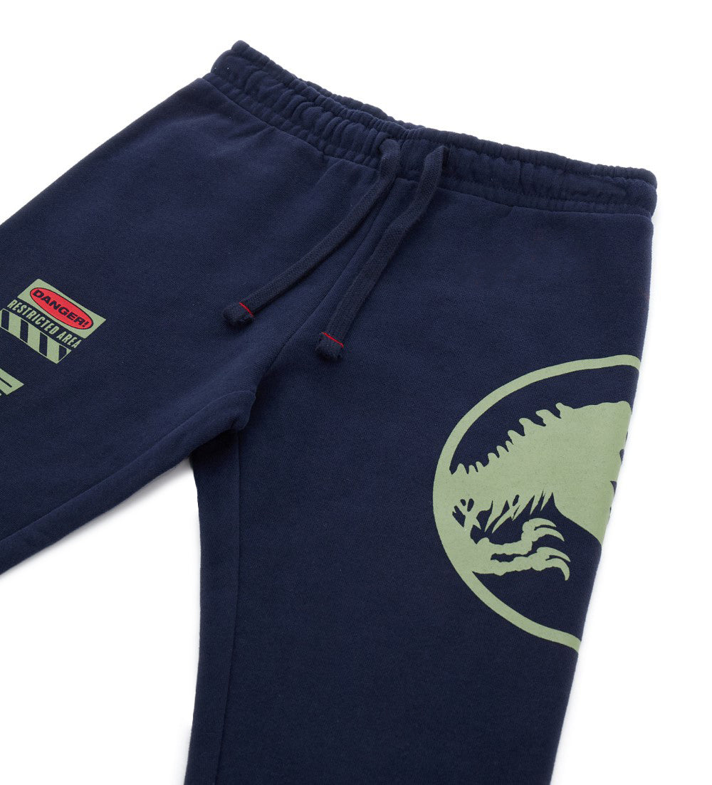 BOY'S JURASSIC WORLD TROUSER-10
