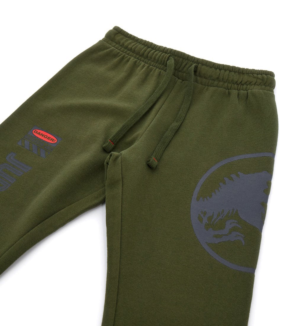 BOY'S JURASSIC WORLD TROUSER-4