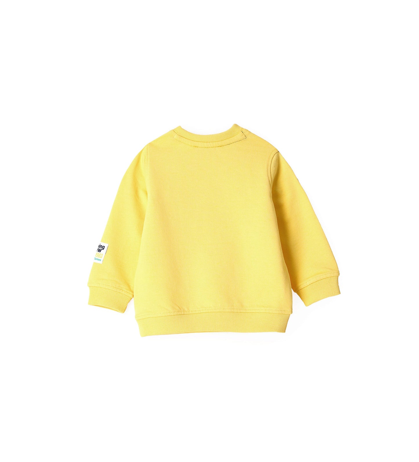 BABY BOY'S SWEATSHIRT-41