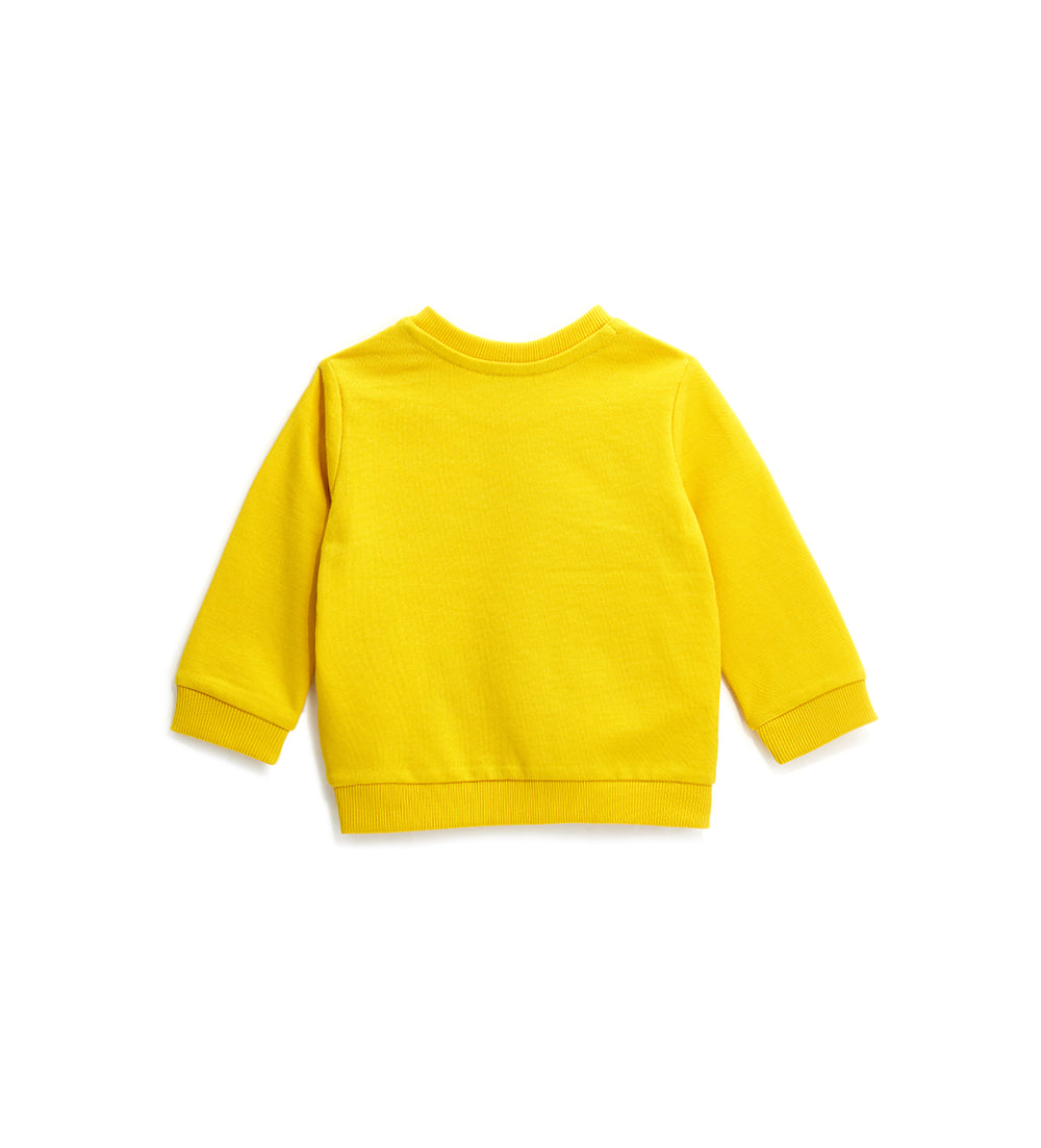 BABY BOY'S SWEATSHIRT-111