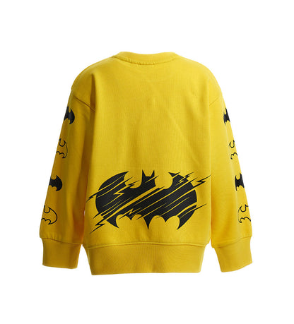 Boy's Batman sweatshirt