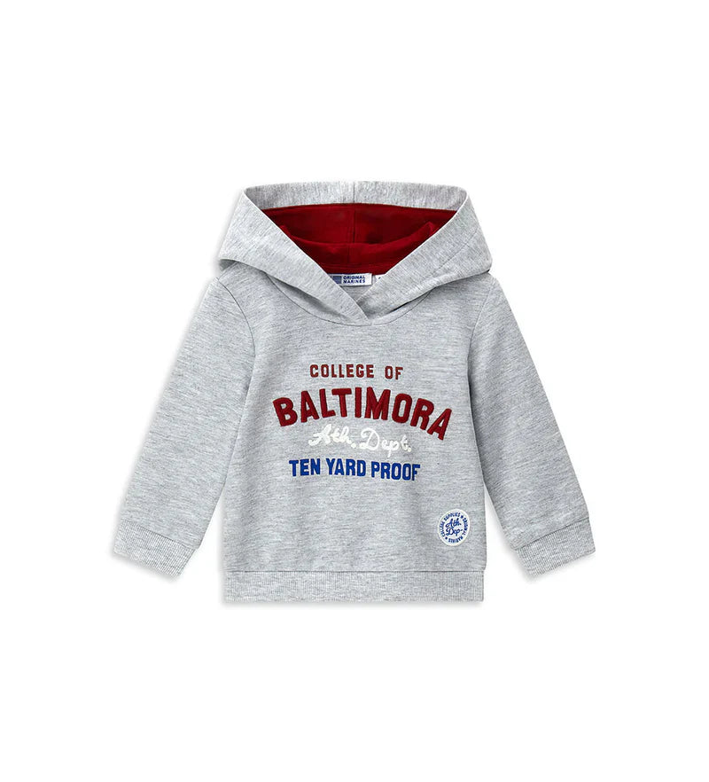 Baby boy's hoodie