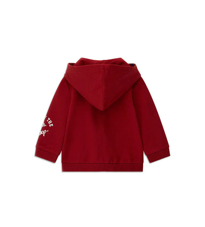 Baby boy's hoodie