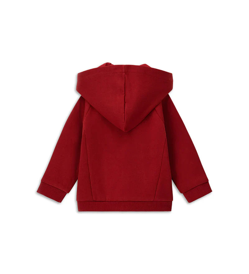 Baby boy's jacket