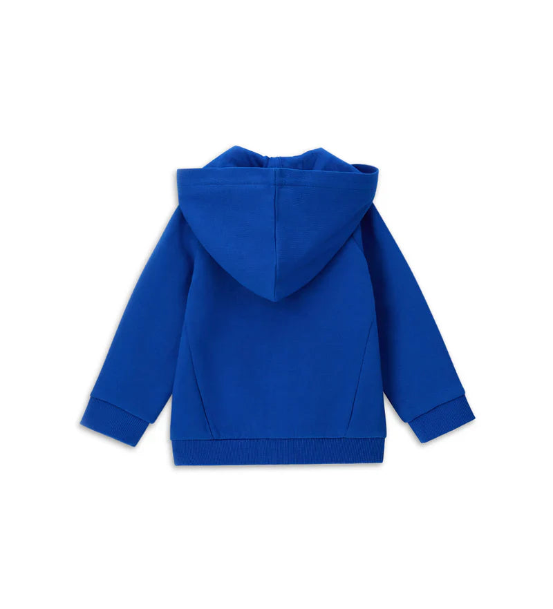 Baby boy's jacket