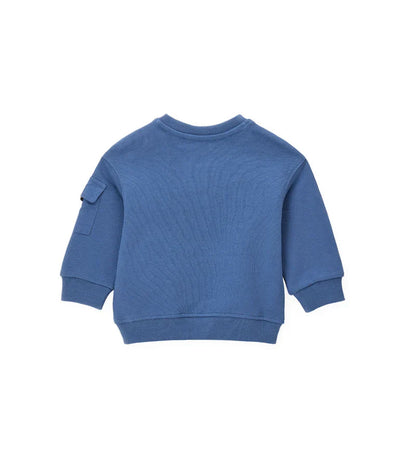 Baby boy's sweatshirt