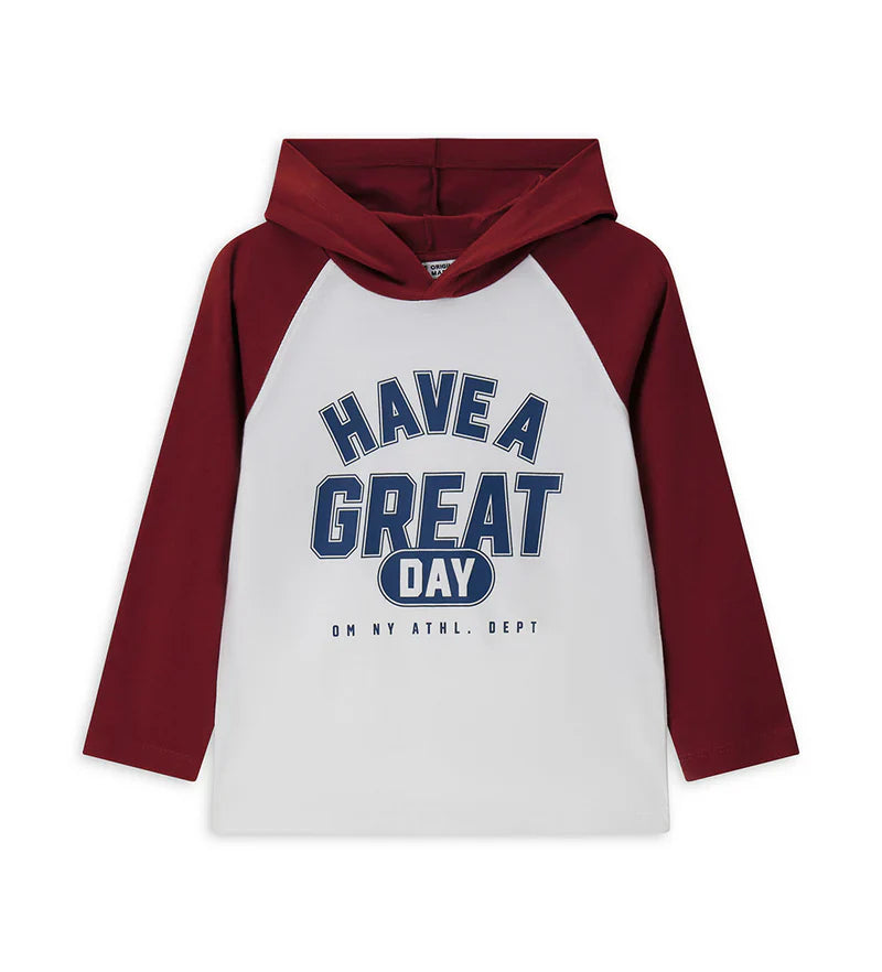 Boy's hooded shirt