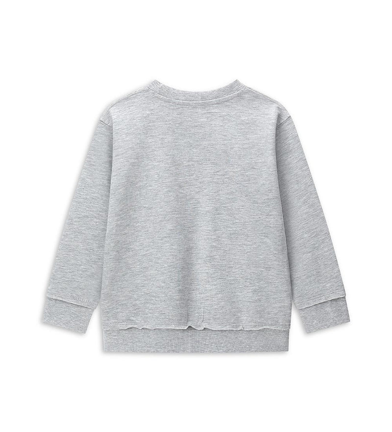 Boy's sweatshirt