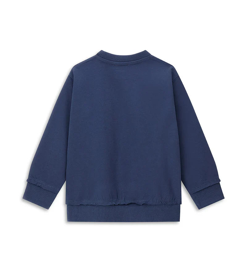 Boy's sweatshirt