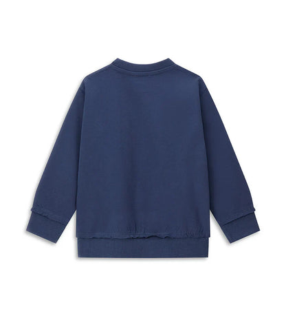 Boy's sweatshirt