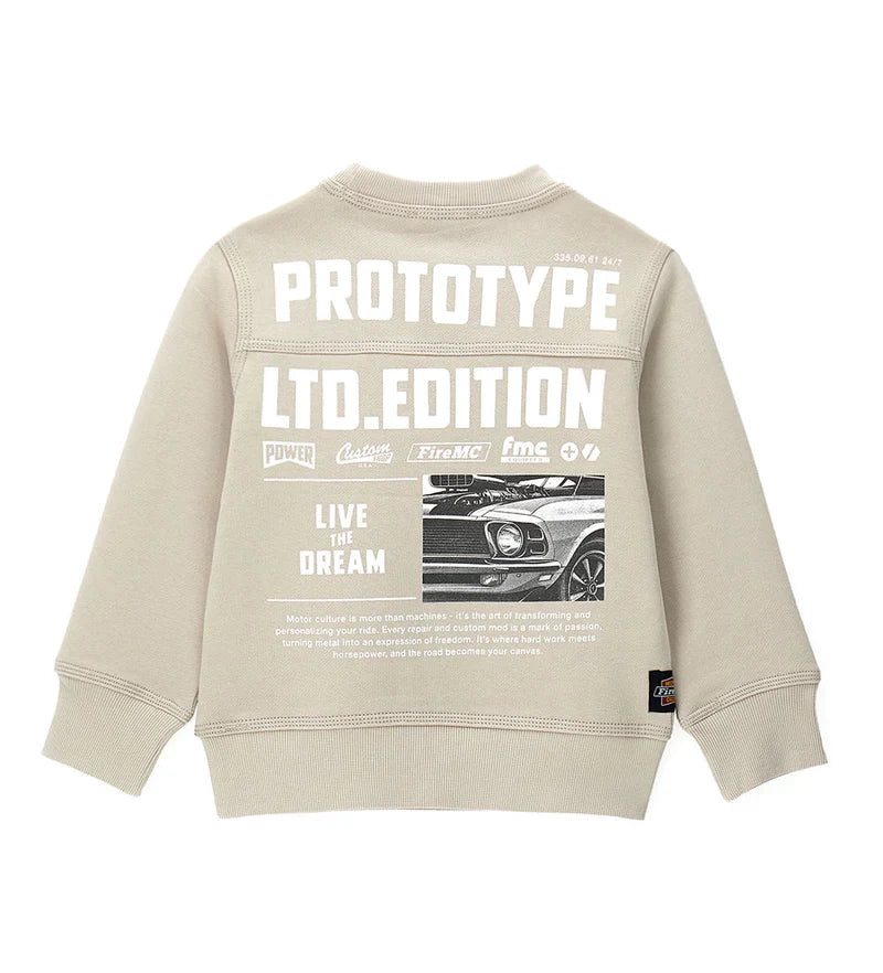 Boy's sweatshirt