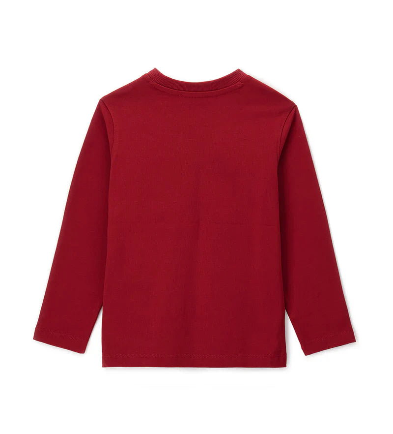 Boy's t-shirt