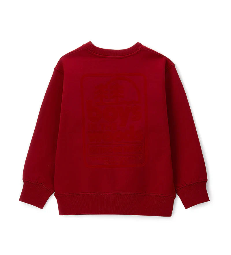 Boy's sweatshirt