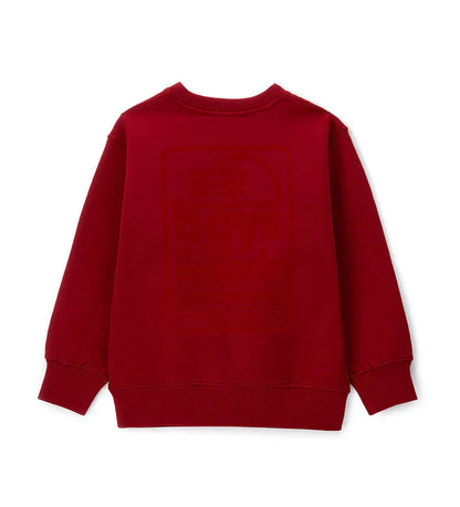 Boy's sweatshirt
