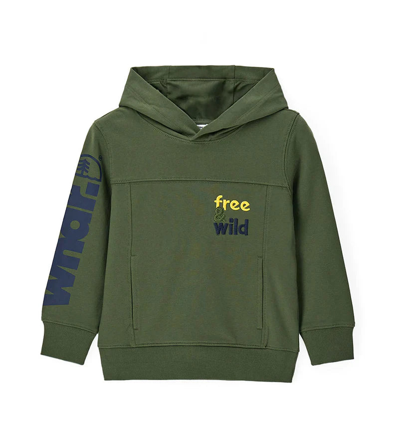 Boy's sweatshirt