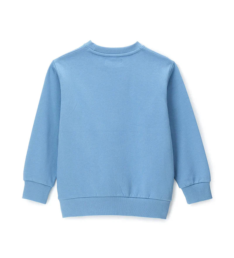 Boy's sweatshirt