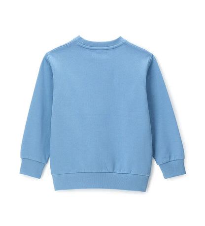 Boy's sweatshirt