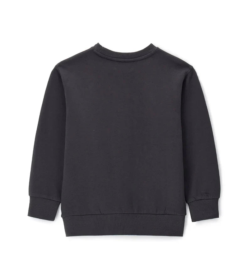 Boy's sweatshirt
