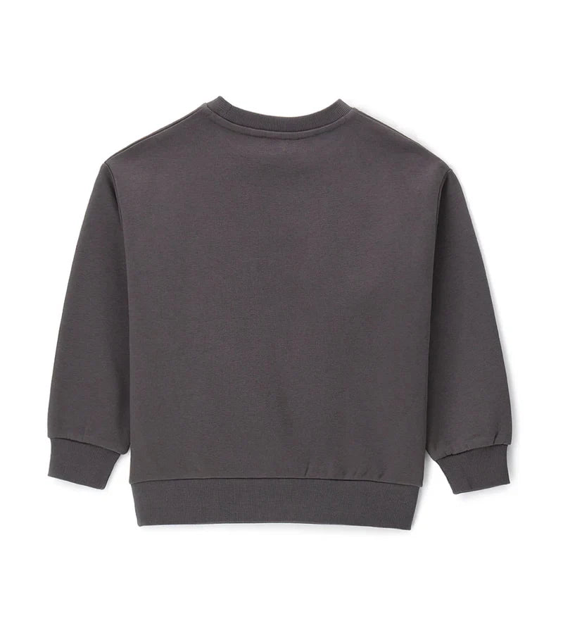 Girl's sweatshirt