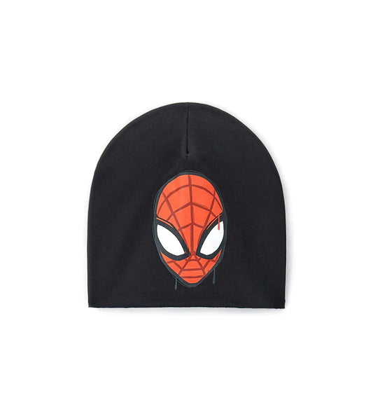 Newborn's spiderman hat