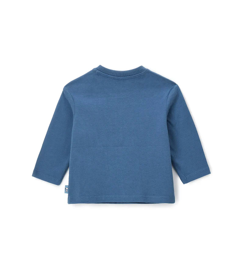 Baby boy's t-shirt