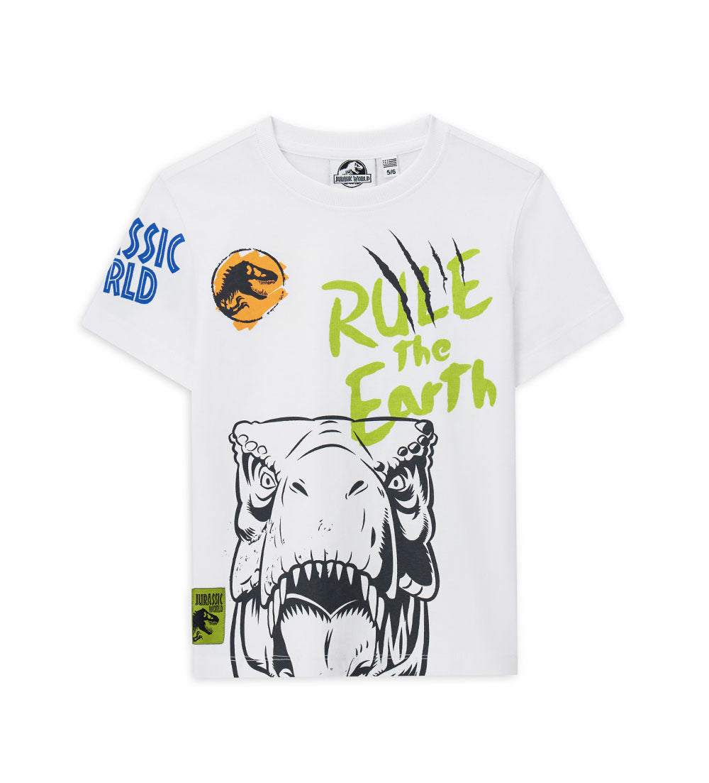 Boy's jurassic world t-shirt