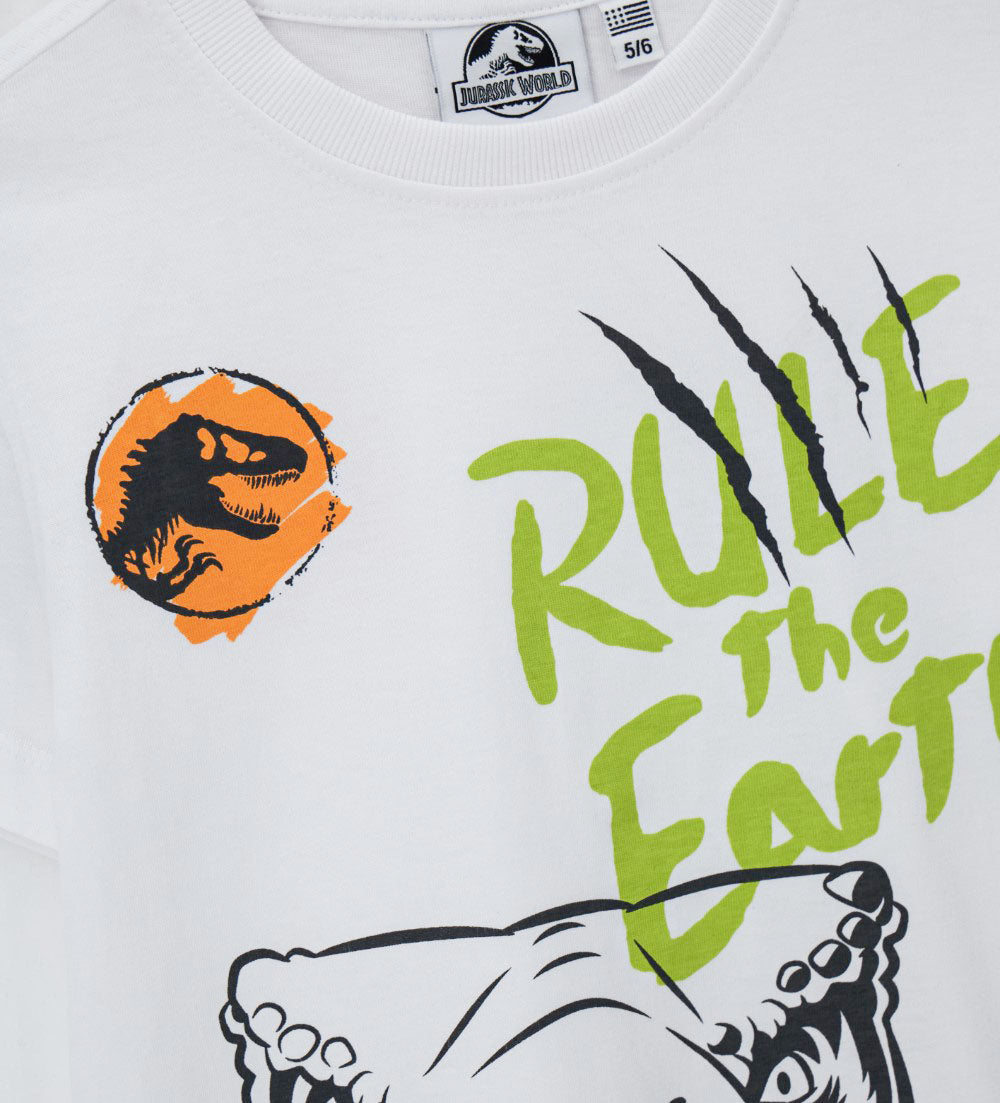 Boy's jurassic world t-shirt