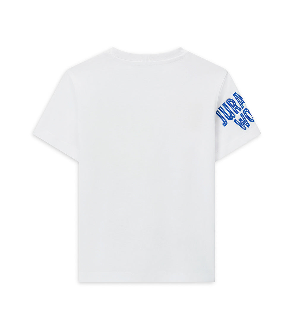 Boy's jurassic world t-shirt