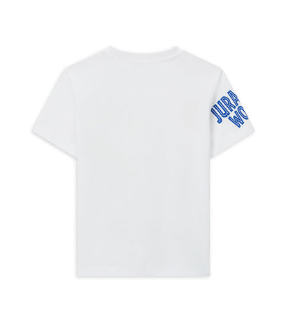 Boy's jurassic world t-shirt