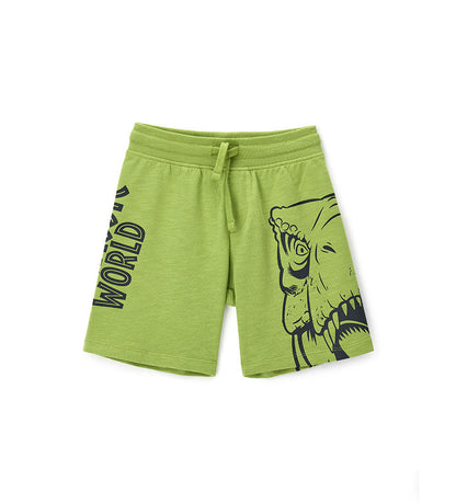 Boy's jurassic world shorts