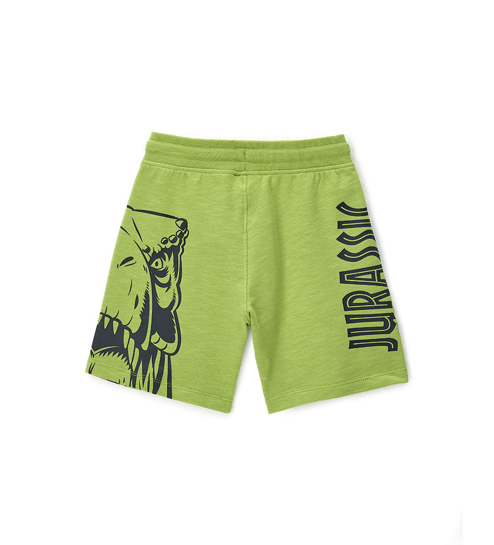Boy's jurassic world shorts