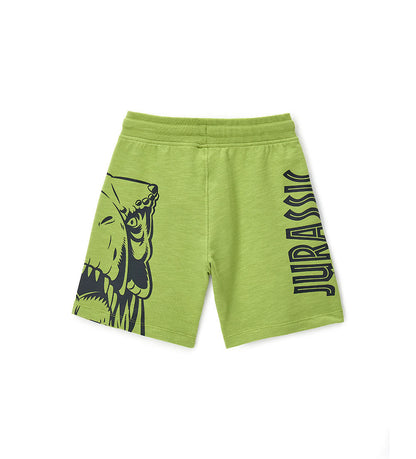 Boy's jurassic world shorts