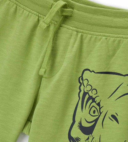 Boy's jurassic world shorts