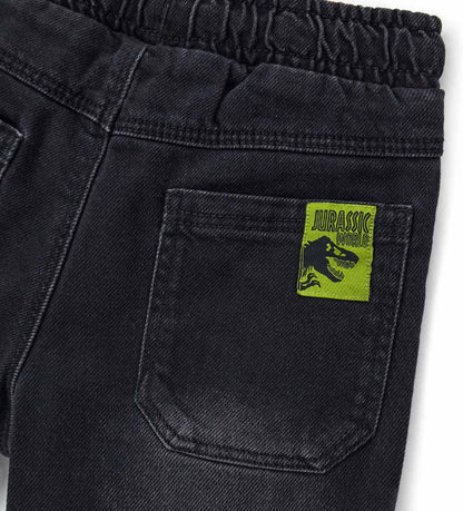 Boy's jurassic world shorts