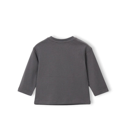 Boy - Printed T-shirt Grey 9 - 12 M
