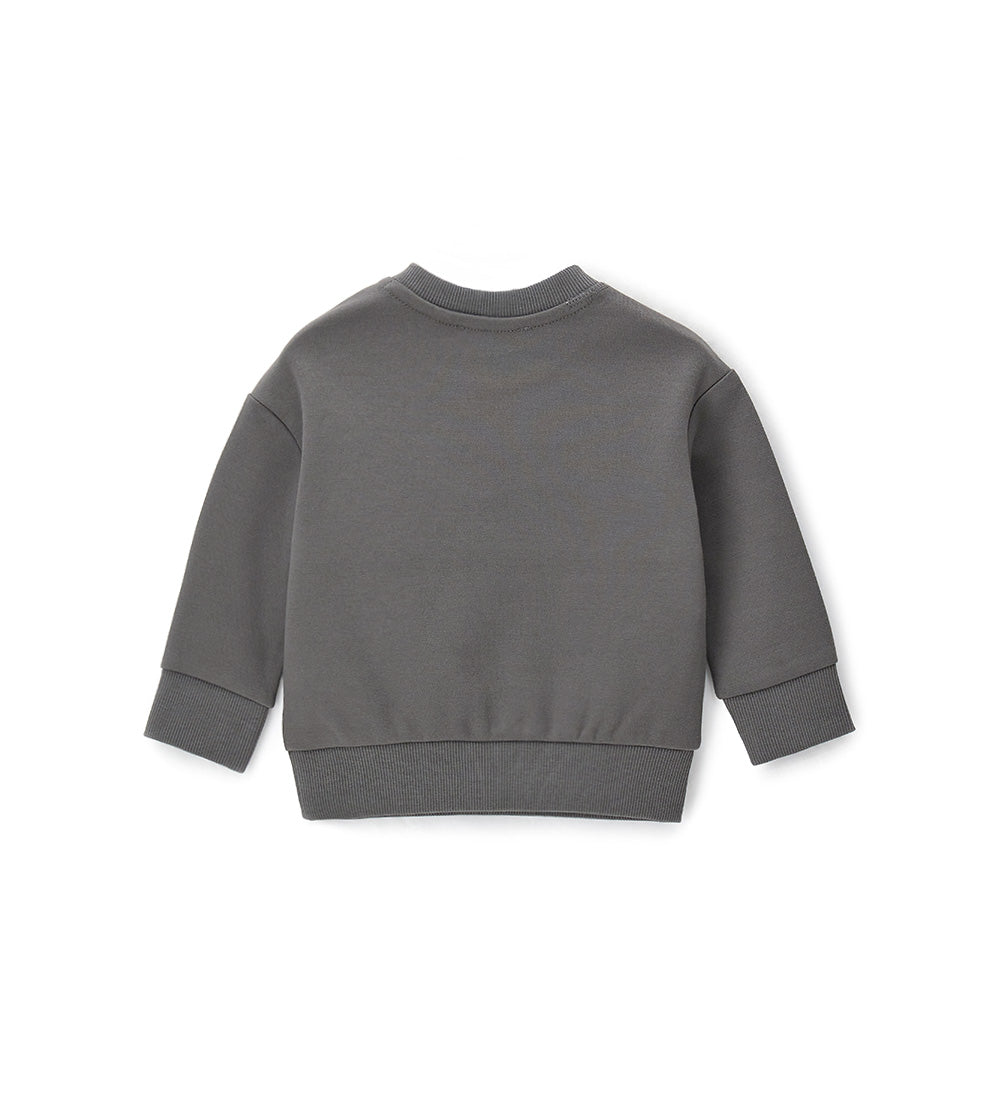 Boy - Printed sweatshirt Grey 9 - 12 M