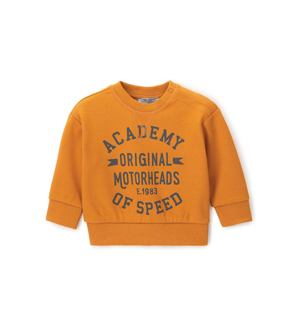 Boy - Printed sweatshirt Grey 9 - 12 M