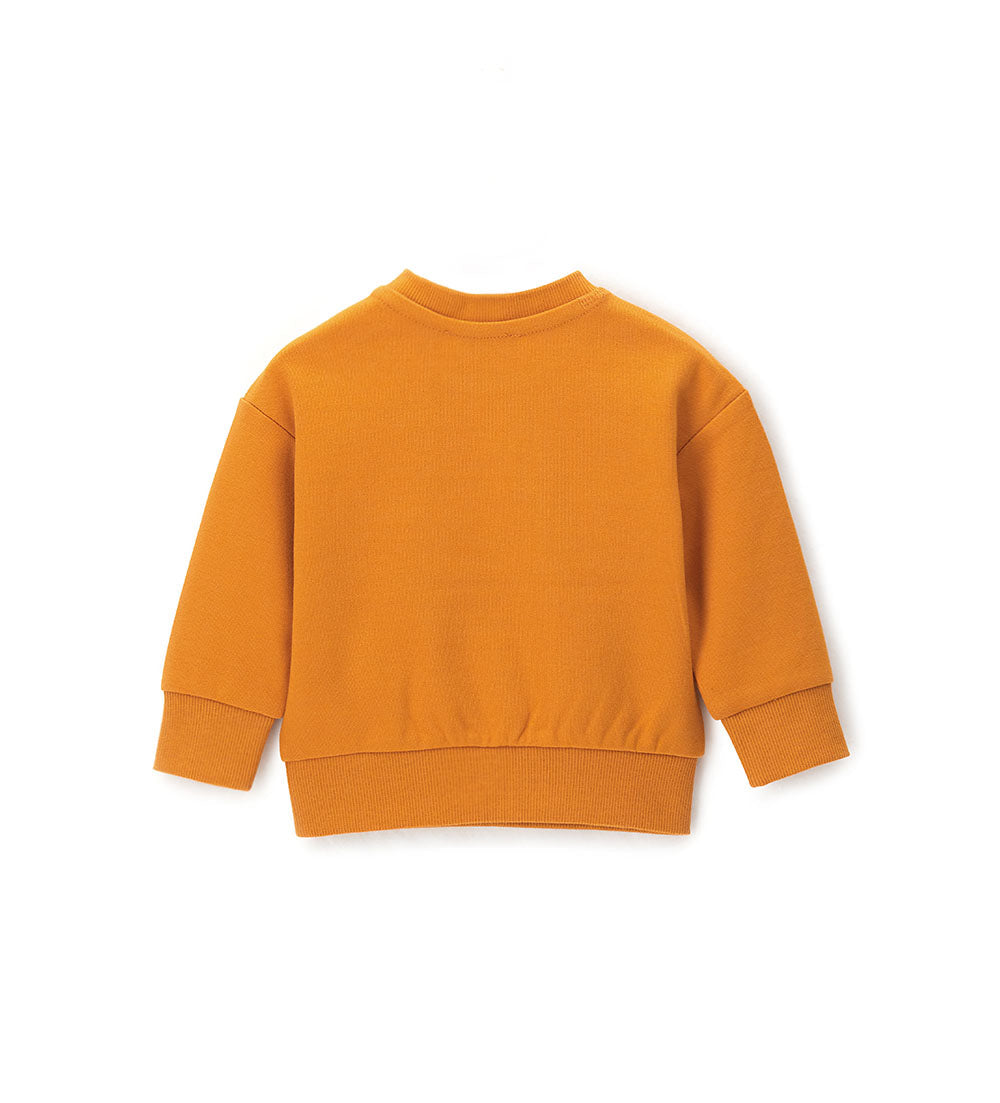 Boy - Printed sweatshirt Grey 9 - 12 M