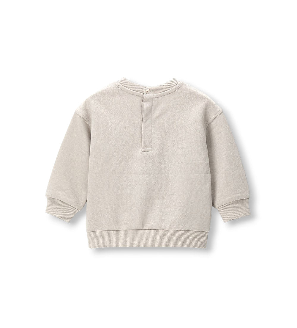 Boy - Printed Sweatshirt 9 - 12 M Grey