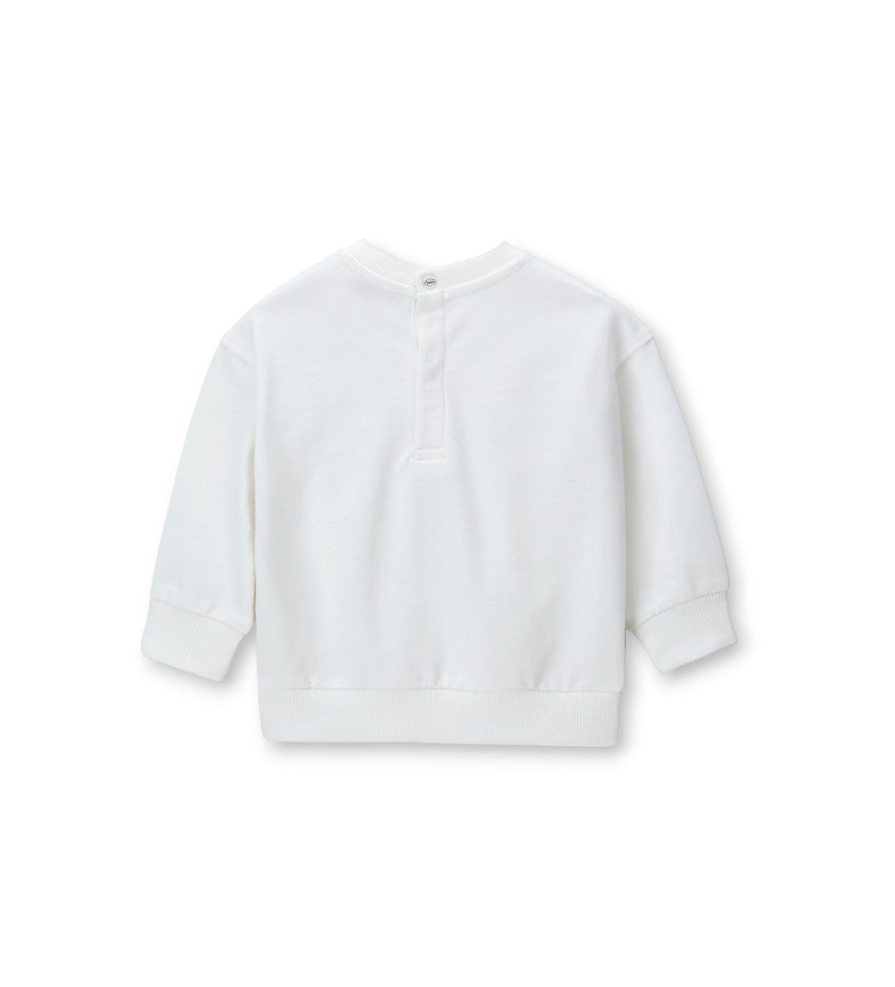 Boy - Printed Sweatshirt 9 - 12 M Grey