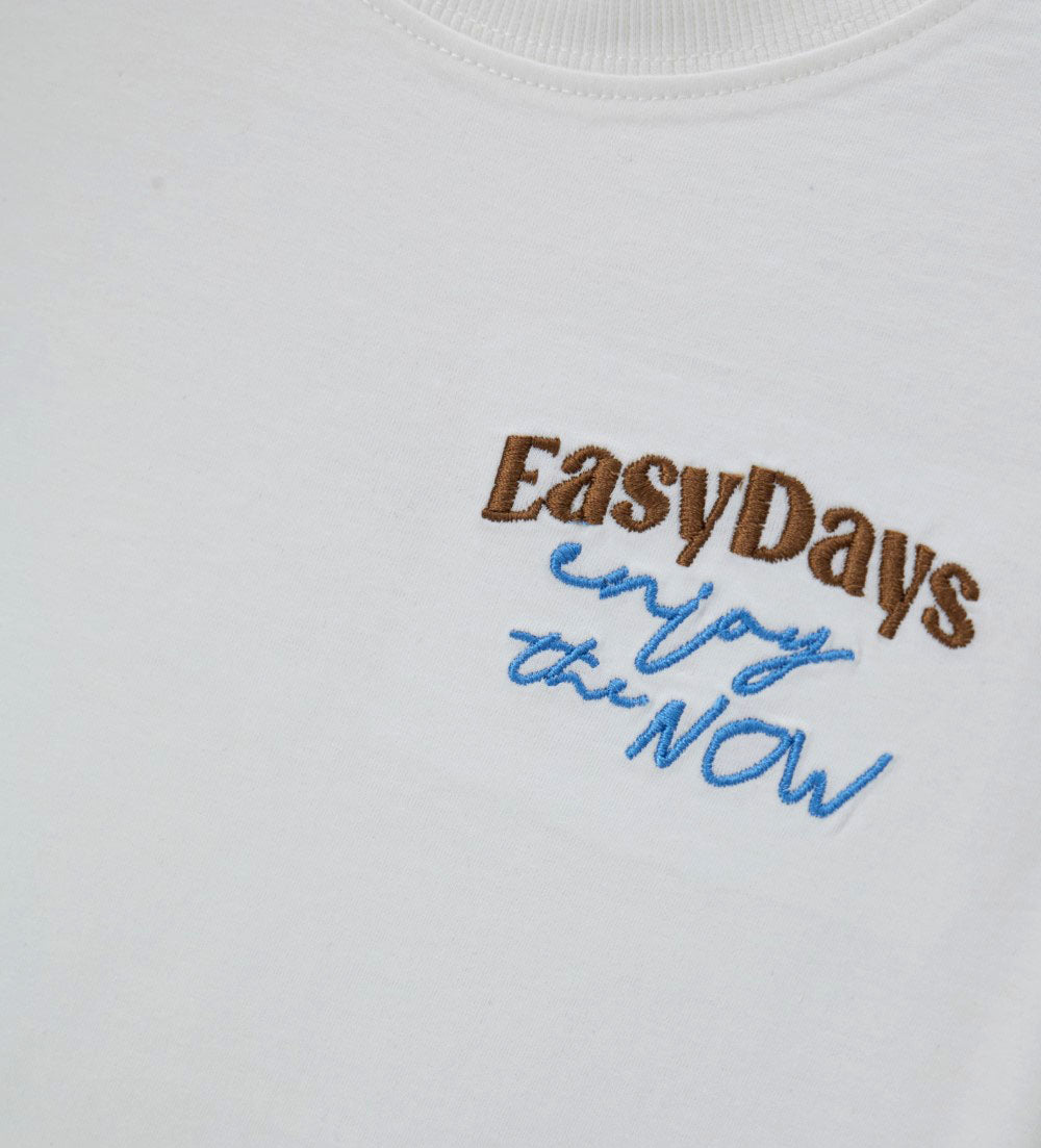 Boy - Embroidered T-shirt 9 - 10 Y Brown