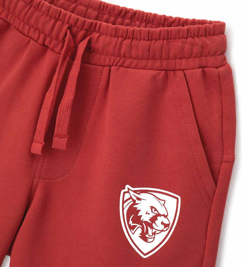 Boy - Printed cotton bermuda shorts