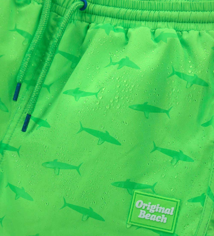 Boy - Bermuda shorts with briefs 9 - 10 Y Green
