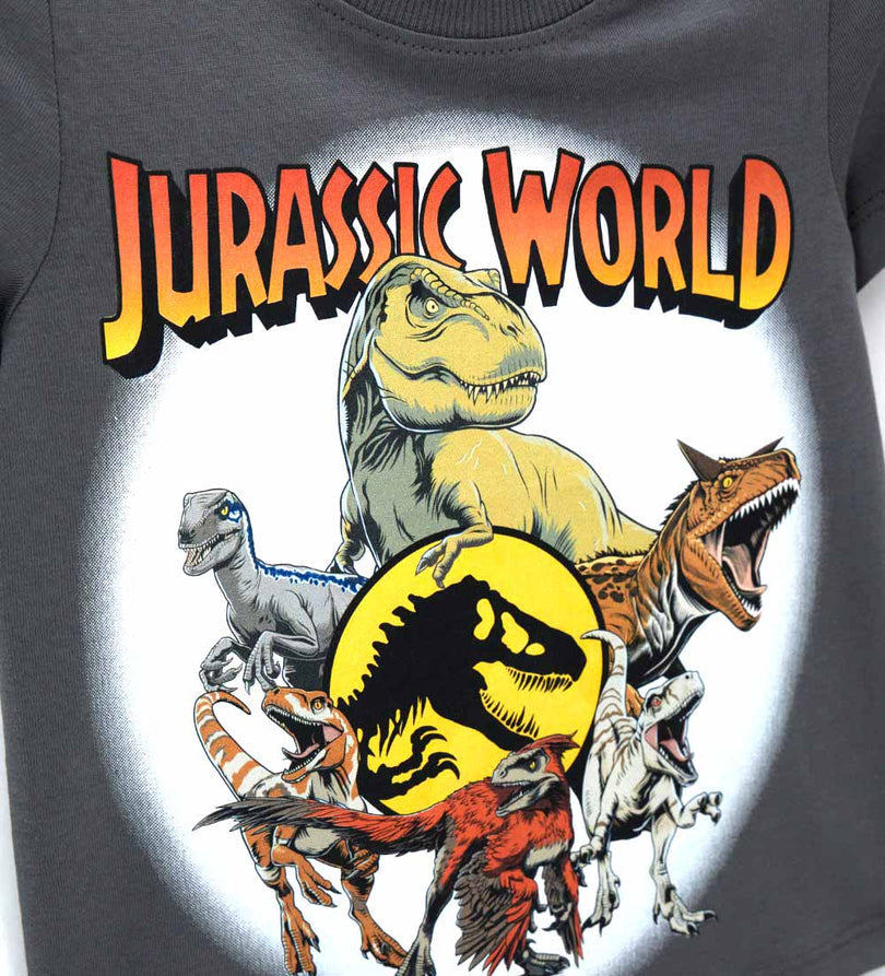 Boy - Jurassic World T-shirt 9 - 12 M Grey