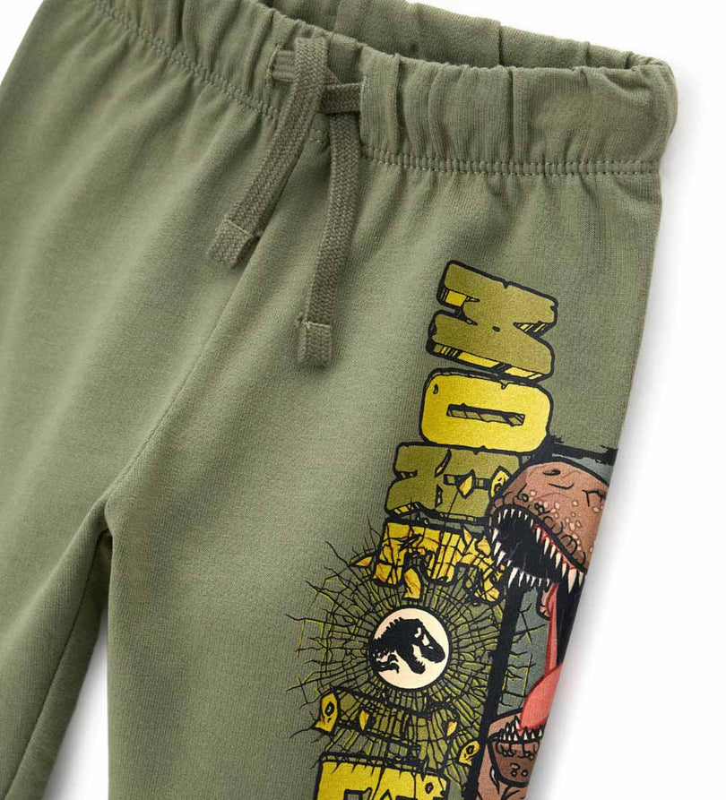 Boy - Jurassic World Pants 18 - 24 M Grey
