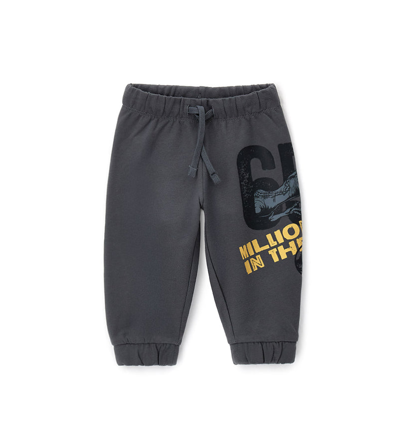 Boy - Jurassic World Pants 18 - 24 M Grey